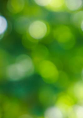 CSR baggrund, Bureau Veritas
