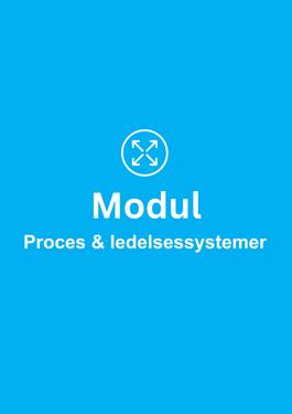 PDP, Modul, Proces & ledelsessystemer