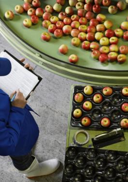 Udarbejdelse af Food Waste Management System, Bureau Veritas