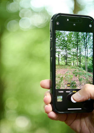 phone taking pictures of nature