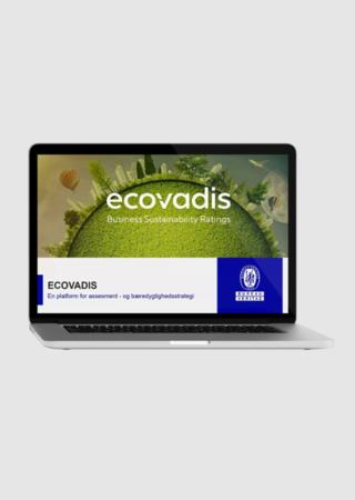 EcoVadis webinar, EcoVadis landingpage