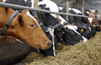 FAMI-QS certificering, Bureau Veritas