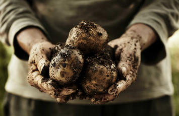 FSSC 22000 certificering, Bureau Veritas