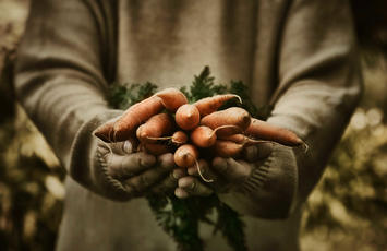 ISO 22000 certificering, Bureau Veritas