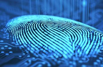 GDPR databeskyttelse, Bureau Veritas