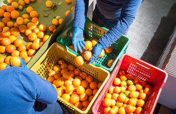 Ydelser inden for madspild, Bureau Veritas