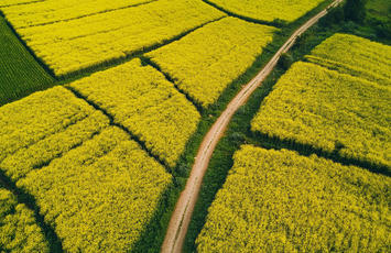 Certificering af biobrændstoffer og biomaterialer