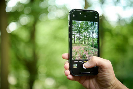 phone taking pictures of nature